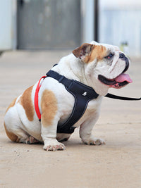 HKM-416595 Comfortable Dog Leash and Collar Set - Oxford Cloth with Breathable Mesh, Adjustable S, M, L Sizes