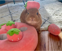 HKM-001299 Interactive Plush Strawberry Snuffle Mat for Dogs, Bunnies, and Guinea Pigs - Engage and Entertain