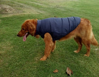 HKM-111827 Warm and Waterproof Outdoor Dog Clothing for Autumn and Winter, Polyester Material, Unisex