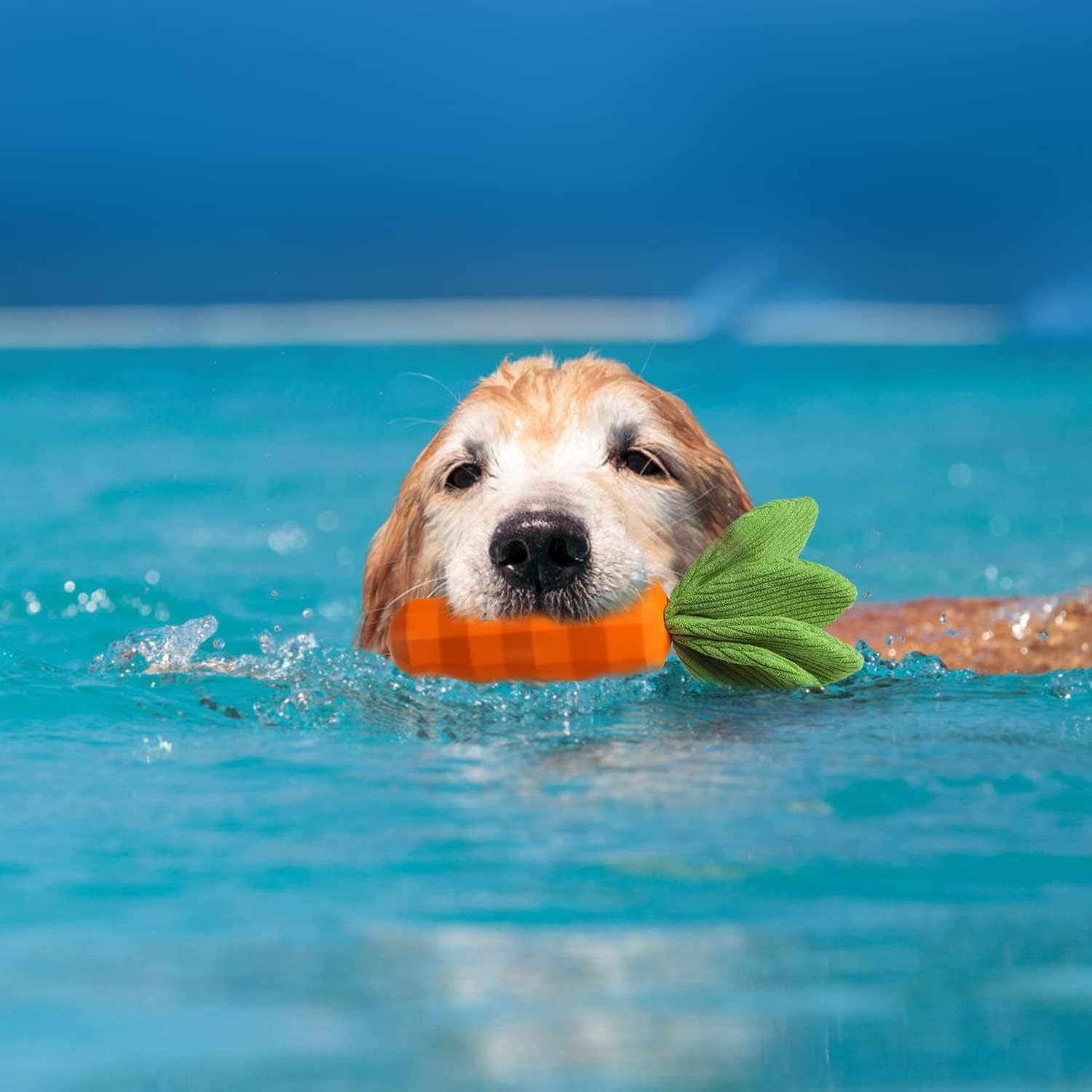 HKM-065683 Interactive Rubber Carrot Dog Toy for Medium Aggressive Chewers with Squeaker and Dental Care Features