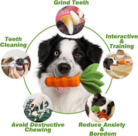 HKM-065683 Interactive Rubber Carrot Dog Toy for Medium Aggressive Chewers with Squeaker and Dental Care Features