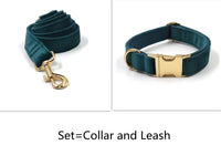 HKM-723859 Sapphire Green Velvet Pet Collar and Leash Set with Gold Buckle and Bowtie
