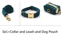 HKM-723859 Sapphire Green Velvet Pet Collar and Leash Set with Gold Buckle and Bowtie