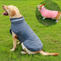 HKM-190867 Cold-Proof and Rain-Proof Pet Coat for Large Dogs - Corgi Trench Style Clothing