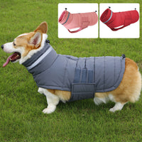 HKM-190867 Cold-Proof and Rain-Proof Pet Coat for Large Dogs - Corgi Trench Style Clothing