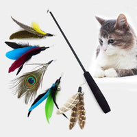 HKM-699475 Three-Stage Telescoping Cat Teaser Wand with Durable Fiberglass Rod and EVA Handle