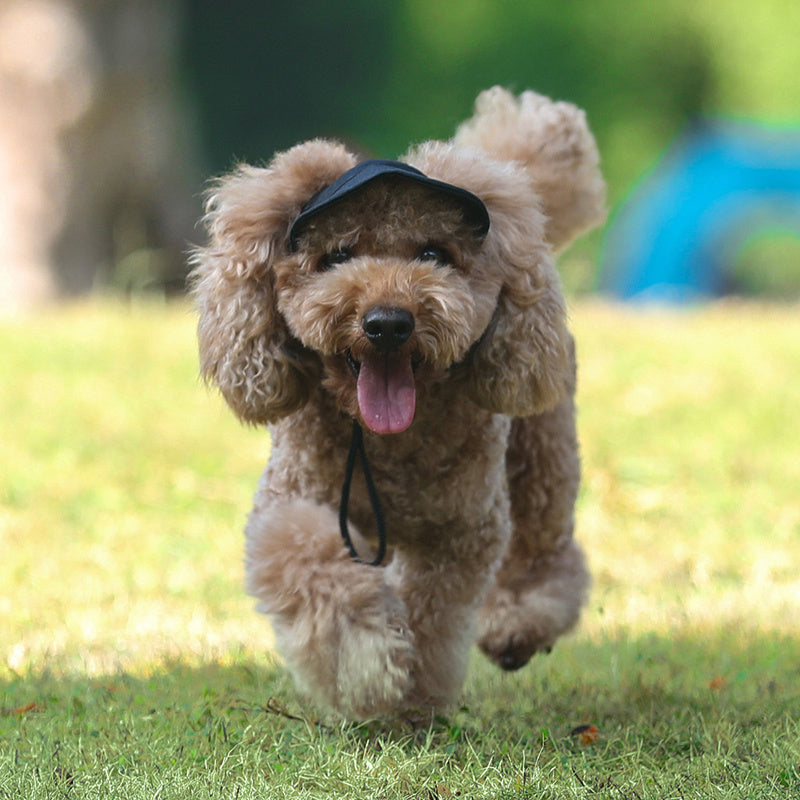 HKM-974995 Durable Adjustable Canvas Dog and Cat Baseball Cap
