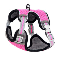 HKM-944339 Adjustable Nylon Cat Chest Strap for Safe Outdoor Adventures