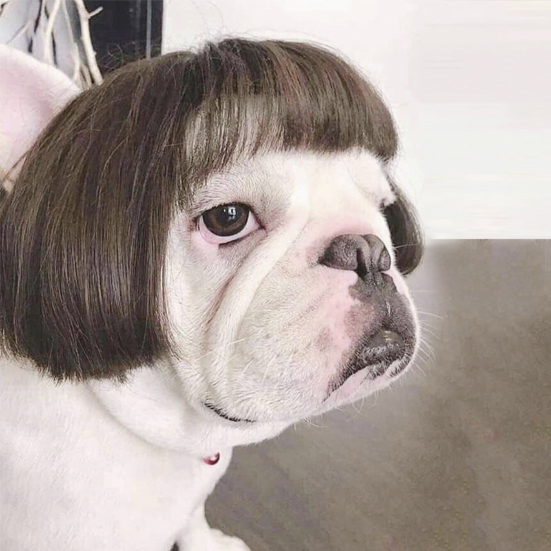 HKM-967763 Cosplay Tool Wig for Dogs - Free Size Polyester Material, 45g Weight, 15x25cm Packing Size