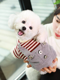 HKM-573395 Khaki and Wine Red Striped Corduroy Four-Legged Dog Outfit for Autumn and Winter