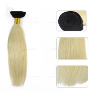 HKM-174419 Natural Long Hair Gradation Wig for Ladies