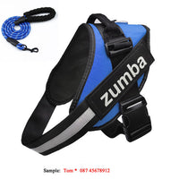 HKM-769299 Personalized Adjustable Reflective Dog Harness and Leash Set - Breathable Nylon Design