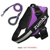HKM-769299 Personalized Adjustable Reflective Dog Harness and Leash Set - Breathable Nylon Design