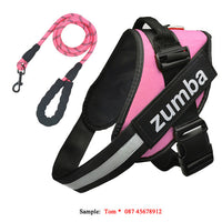 HKM-769299 Personalized Adjustable Reflective Dog Harness and Leash Set - Breathable Nylon Design