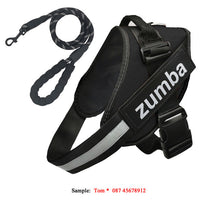 HKM-769299 Personalized Adjustable Reflective Dog Harness and Leash Set - Breathable Nylon Design