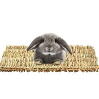 HKM-527379 Durable 3-Pack Wooden Rabbit and Small Animal Mat Toy Bed for Guinea Pigs and Chinchillas