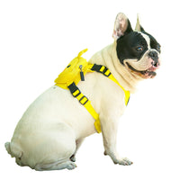 HKM-895763 Durable Nylon Pet Vest with Chest Strap for Dogs - Available in Sizes S and M