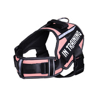 HKM-122835 Reflective Nylon Dog Leash for Chest Harness with Breathable Design and Neck Protection