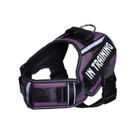 HKM-122835 Reflective Nylon Dog Leash for Chest Harness with Breathable Design and Neck Protection
