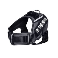 HKM-122835 Reflective Nylon Dog Leash for Chest Harness with Breathable Design and Neck Protection