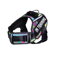 HKM-122835 Reflective Nylon Dog Leash for Chest Harness with Breathable Design and Neck Protection