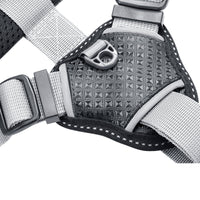 HKM-383827 Adjustable Polyester Dog Leash and Collar Set for Small to Extra Large Dogs
