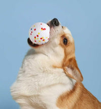 HKM-968531 Interactive Floating Dog Toy Ring - Soft, Durable Chew Ball for Medium & Large Dogs - Promotes Oral Hygiene and Fun Outdoor Play