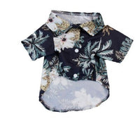 HKM-079059 Summer Fashion Dog Clothes in Multicolor for Casual Wear