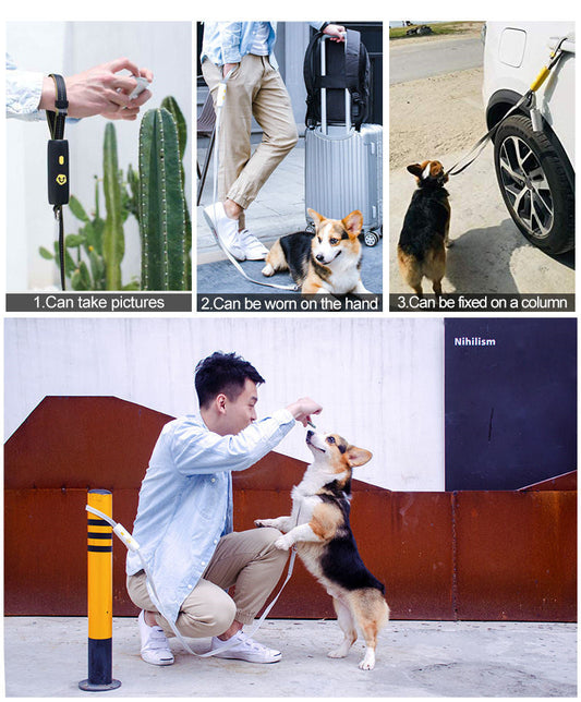 HKM-657171 Elastic Nylon Leash for Small and Medium Dogs up to 30KG in Various Colors