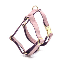 HKM-439315 Christmas Green Velvet Dog Collar with Gold Buckle and Leash Set