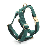 HKM-439315 Christmas Green Velvet Dog Collar with Gold Buckle and Leash Set