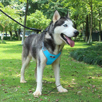 HKM-911571 T-Shaped Chest and Back Harness for Medium to Large Dogs - Breathable Oxford Cloth, Load-Reducing Design