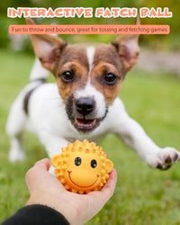 HKM-114259 Interactive Squeaky Dog Toys - Latex Spiky Fetch Balls for Small to Medium Dogs