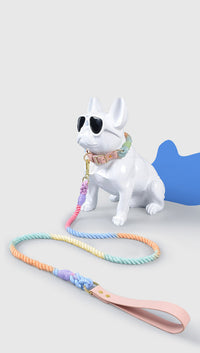 HKM-575827 Rainbow Adjustable Traction Rope and Collar for Medium and Large Dogs