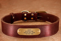 HKM-736531 Personalized Cowhide Dog Collar with Nameplate ID Tag for Medium to Large Dogs