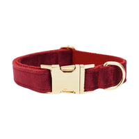 HKM-587347 Soft Velvet Dog Collar with Accessories for XS to XL Sizes