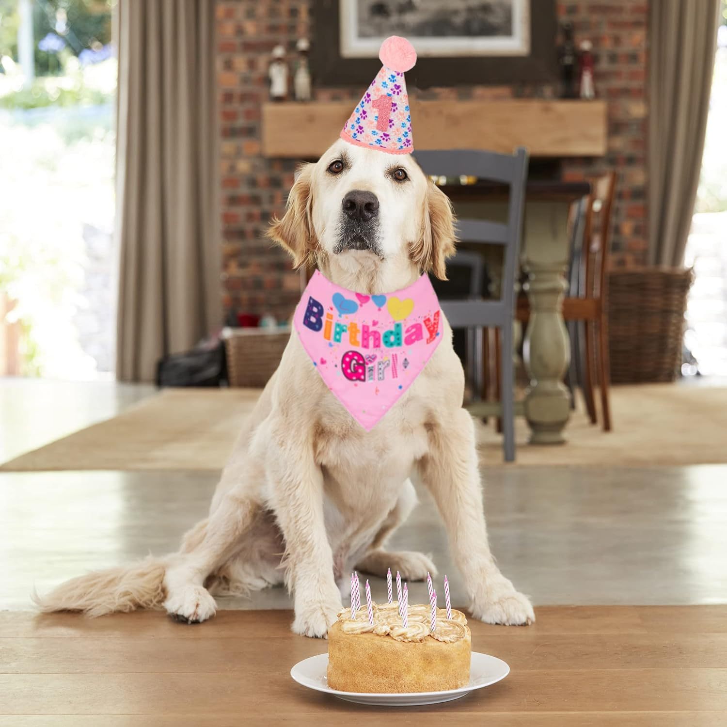 HKM-759571 Dog Birthday Celebration Supplies - Adjustable Party Hat with Numbers and Dog Bandana Set