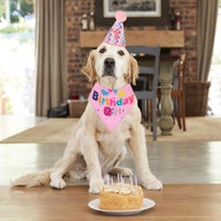 HKM-759571 Dog Birthday Celebration Supplies - Adjustable Party Hat with Numbers and Dog Bandana Set