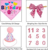 HKM-759571 Dog Birthday Celebration Supplies - Adjustable Party Hat with Numbers and Dog Bandana Set