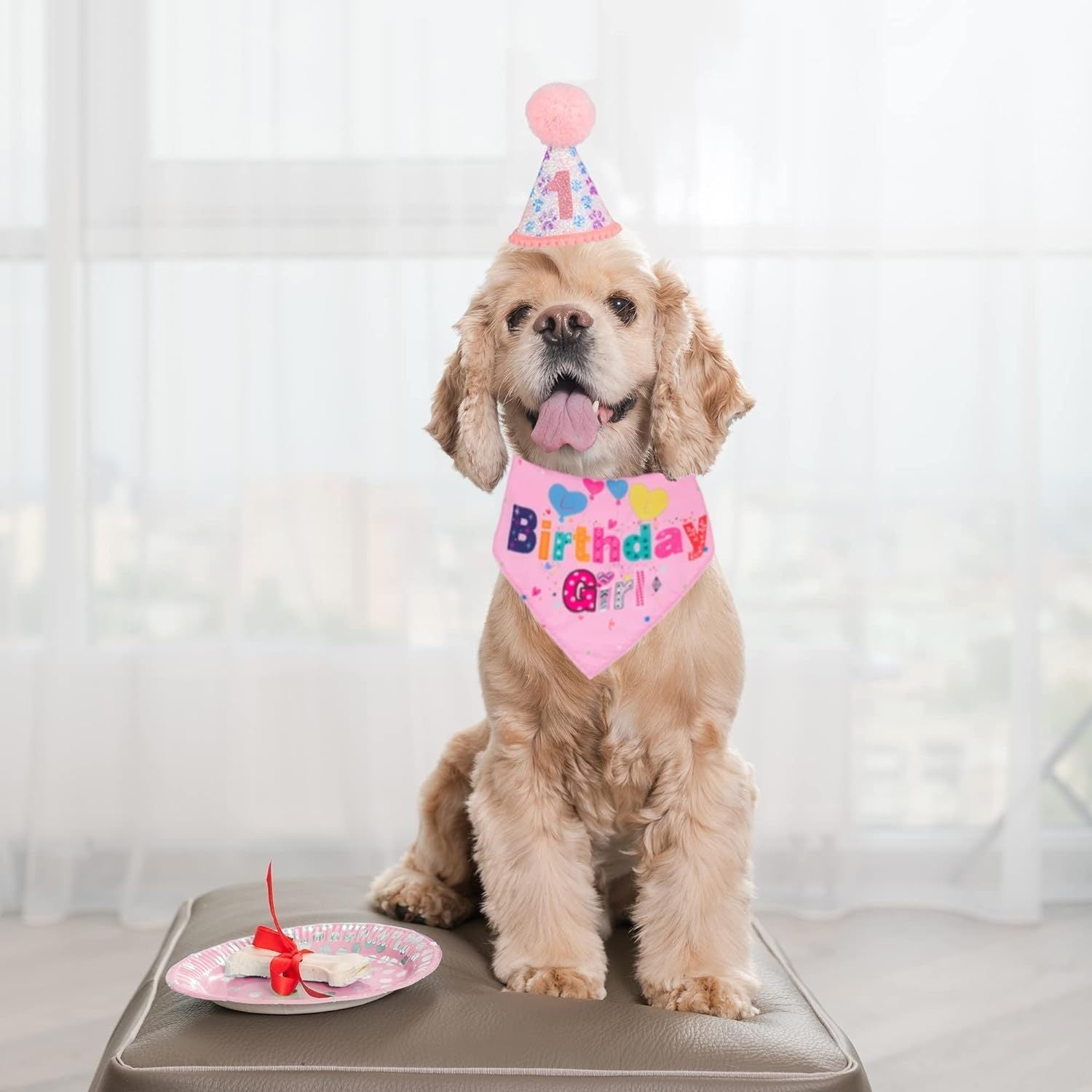 HKM-759571 Dog Birthday Celebration Supplies - Adjustable Party Hat with Numbers and Dog Bandana Set