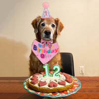 HKM-759571 Dog Birthday Celebration Supplies - Adjustable Party Hat with Numbers and Dog Bandana Set