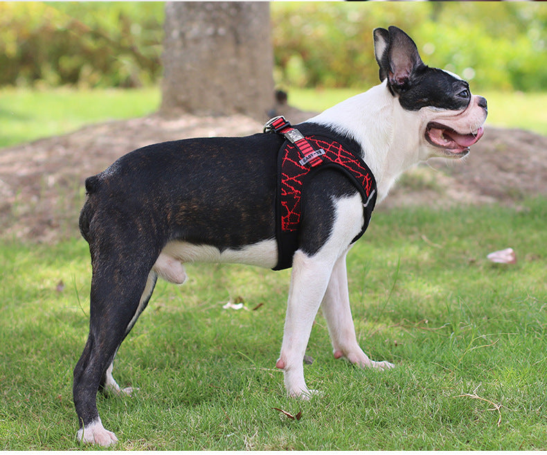 HKM-318291 Adjustable Pet Chest Harness and Leash Set - Comfortable Flying Woven Fabric, Scalable Design