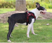 HKM-318291 Adjustable Pet Chest Harness and Leash Set - Comfortable Flying Woven Fabric, Scalable Design