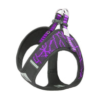 HKM-318291 Adjustable Pet Chest Harness and Leash Set - Comfortable Flying Woven Fabric, Scalable Design