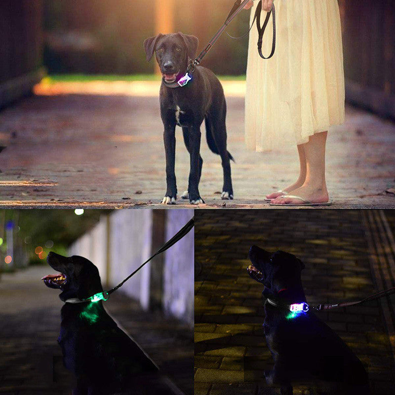 HKM-151827 LED Luminous Nylon Reflective Pet Collar Leash with Multi-Flash Modes