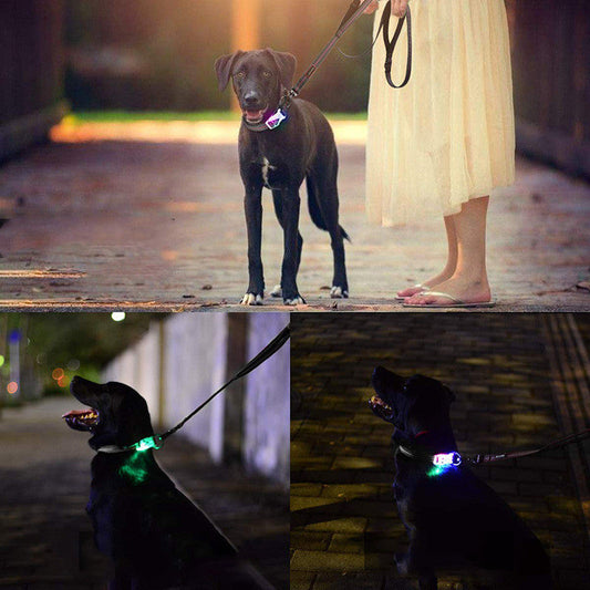 HKM-151827 LED Luminous Nylon Reflective Pet Collar Leash with Multi-Flash Modes