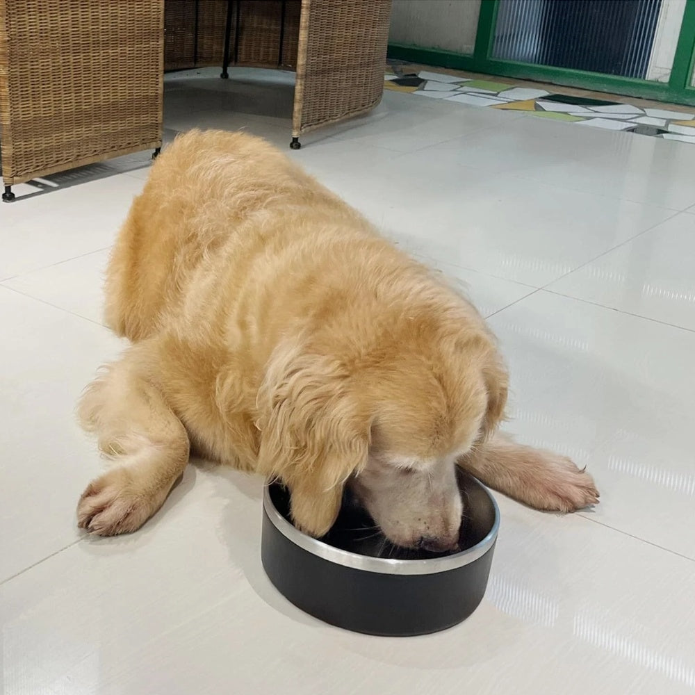 HKM-127571 Stainless Steel Dog Bowl with Non-Slip Base, 42oz Capacity, Dishwasher Safe and Easy to Clean
