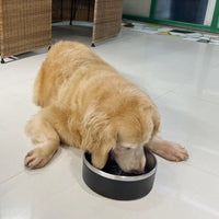 HKM-127571 Stainless Steel Dog Bowl with Non-Slip Base, 42oz Capacity, Dishwasher Safe and Easy to Clean