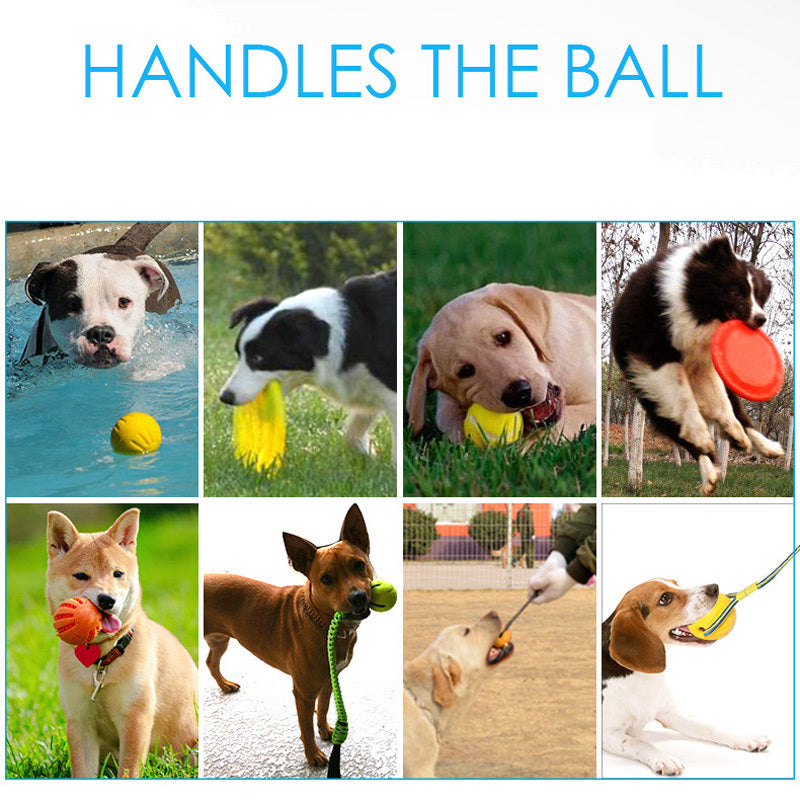 HKM-640531 Interactive EVA Rubber Dog Toy for Outdoor Play and Training - Frisbee & Pull Ring