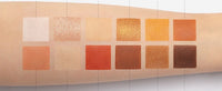 HKM-031635 Explorer Eyeshadow Palette - 12 Color Animal-Themed Shades: Piglet, Tiger, Crocodile, Ice Wolf